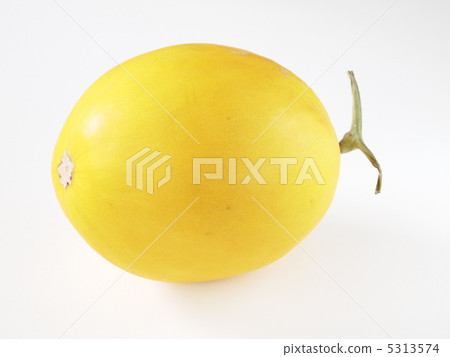 Yellow canary melon Yellow canary melon 5313574