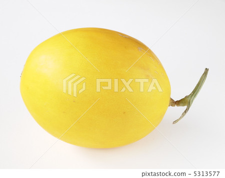 Yellow canary melon Yellow canary melon 5313577