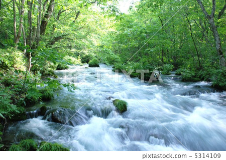 Oirase stream Oirase stream 5314109