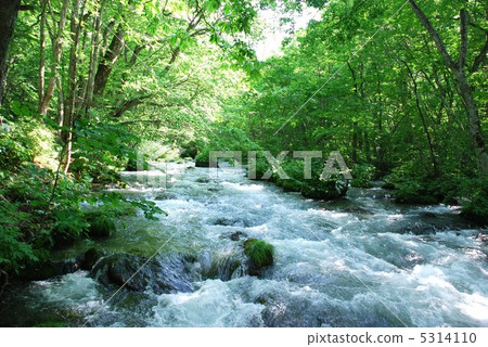 Oirase stream Oirase stream 5314110