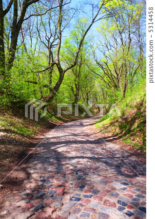 Ancient stone road Ancient stone road 5314458