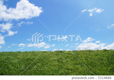 Blue sky and lawn 5314666