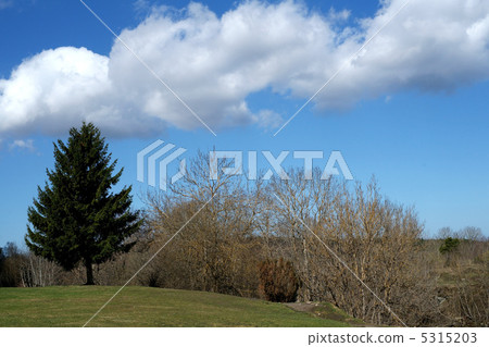 landscape landscape 5315203