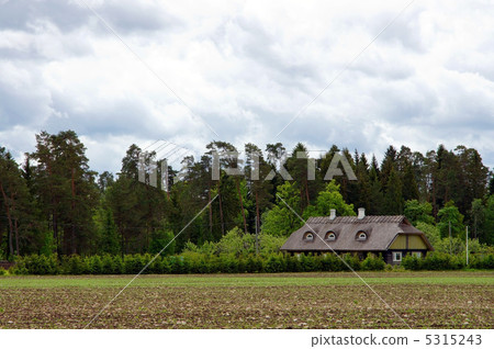 Landscape with the house Landscape with the house 5315243
