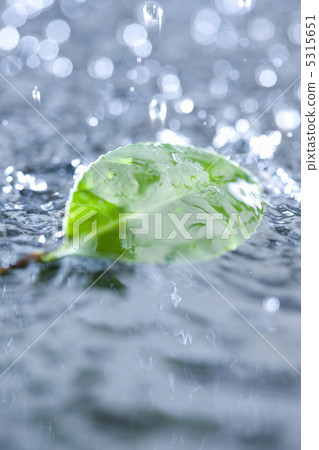 雨圖像 雨圖像 5315651