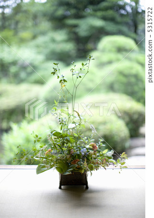 Ikebana 5315722