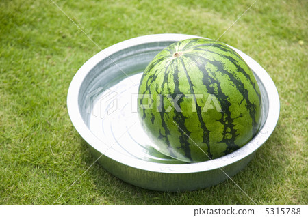 watermelon   5315788