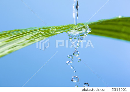 moisture moisture 5315901
