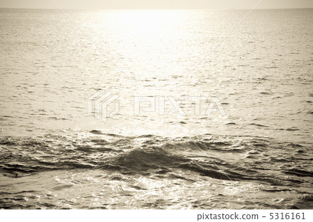 Sea	 5316161