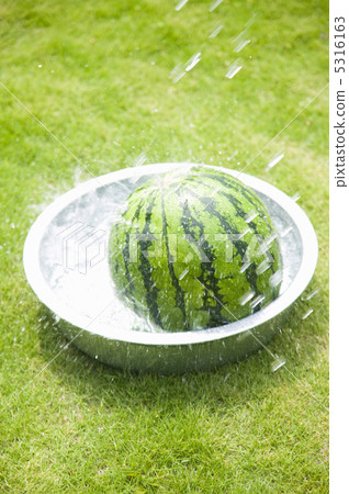 watermelon   5316163