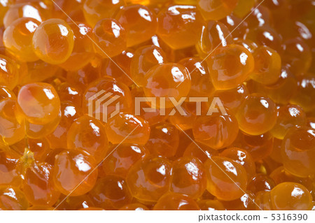  salmon roe 5316390