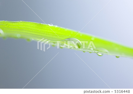Rain image 5316448