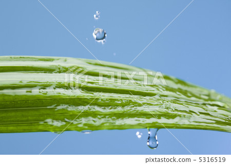 Water droplets 5316519