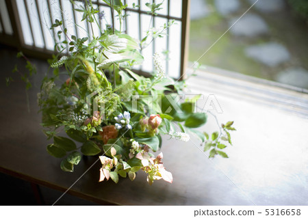 插花 5316658