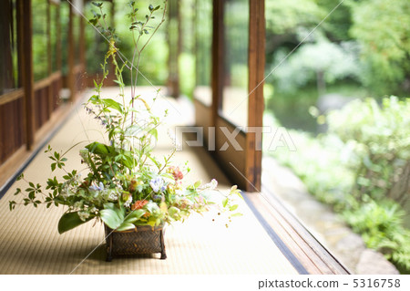 Ikebana 5316758
