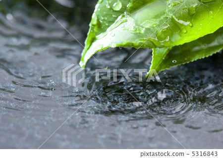 Rain image Rain image 5316843