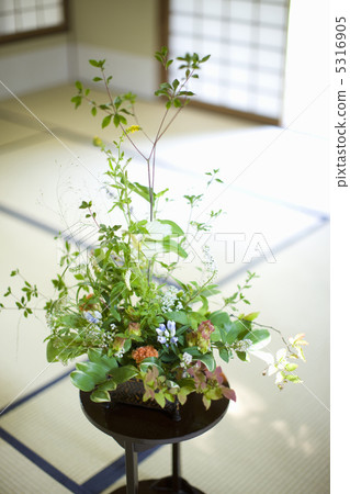 Ikebana Ikebana 5316905