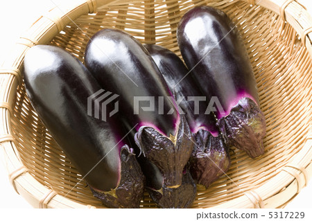 eggplant eggplant 5317229