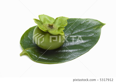 柿子 柿子 5317912