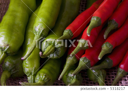 Lion Tang Lion Tang 5318217