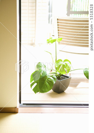 Terrace Terrace 5318328