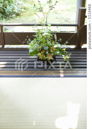 Ikebana Ikebana 5318468