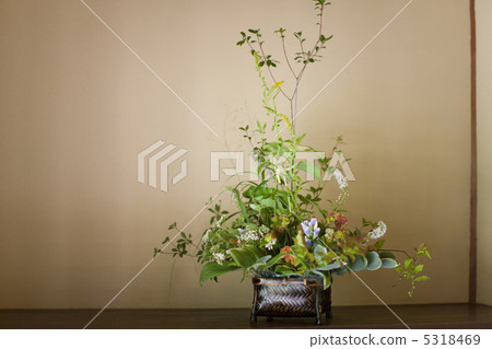 Ikebana Ikebana 5318469