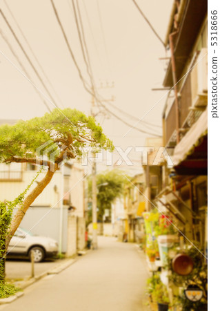 一幢房子 5318666