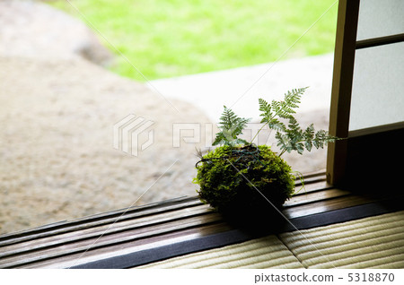 Tsurinin Tsurinin 5318870