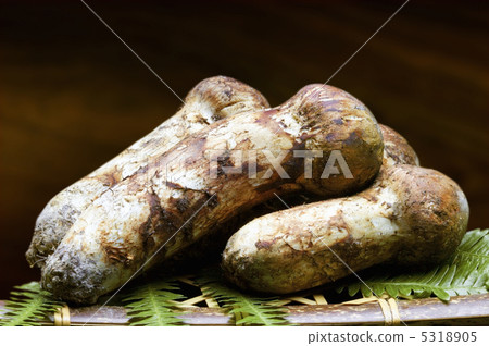 Matsutake Matsutake 5318905