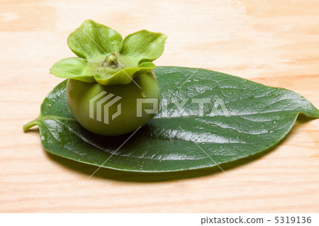 persimmon persimmon 5319136