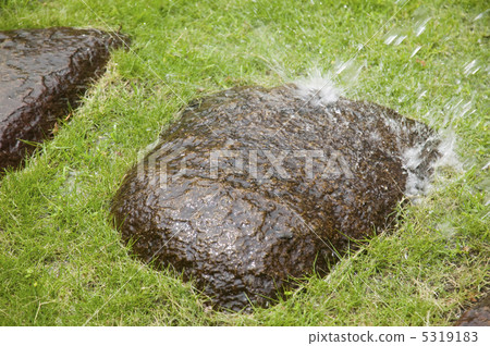 Paving stone 5319183