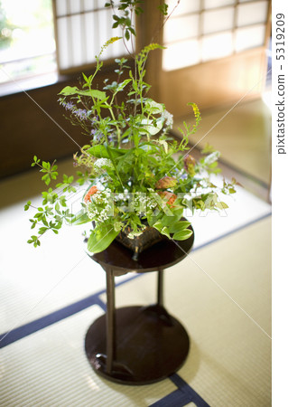 Ikebana 5319209