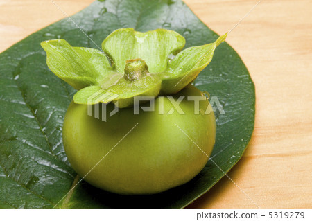 persimmon persimmon 5319279