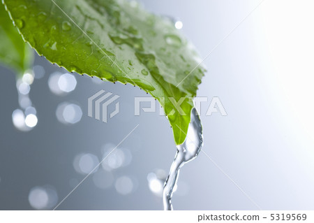 Rain image Rain image 5319569