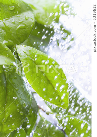 飛濺 飛濺 5319612