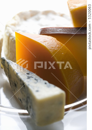 戈貢佐拉 5320063