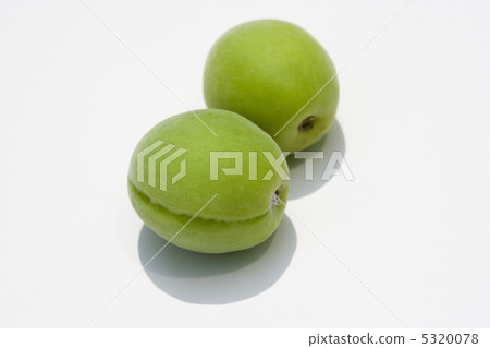 Plum fruit 5320078