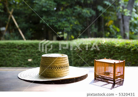 Summer image 5320431