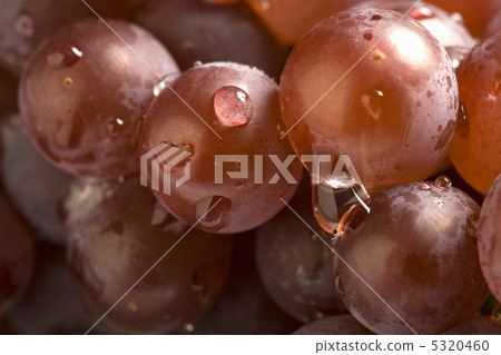 葡萄 5320460