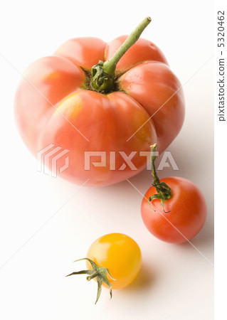 蕃茄 5320462