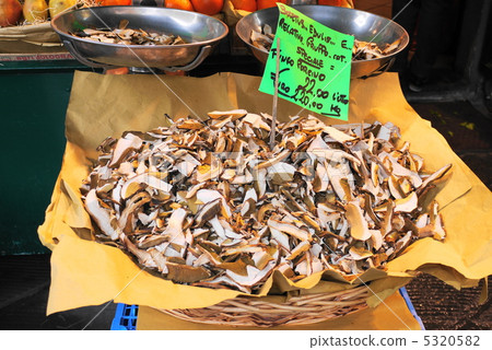 Porcini mushroom 5320582