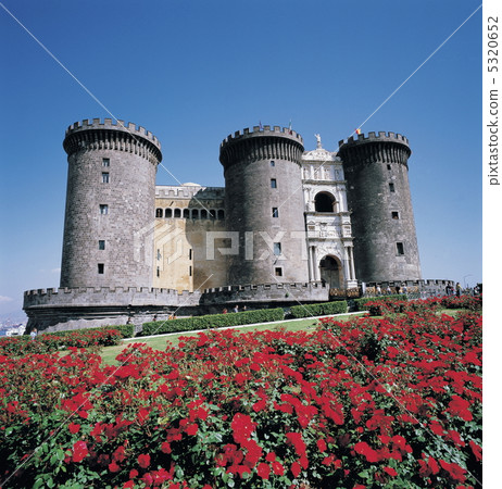 Nuovo Castle in full bloom 5320652
