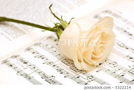 Single white rose on musical notes page Single white rose on musical notes page 5322214