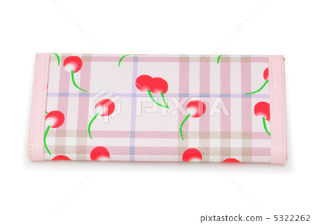 Woman bag isolated on the white background 5322262