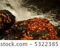 autumn 5322385