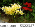 autumn 5322387