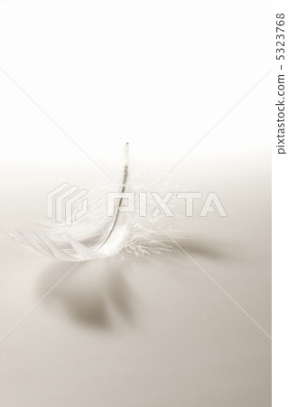 羽毛 羽毛 5323768