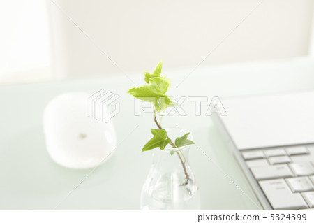 便攜式計算機和室內植物 5324399