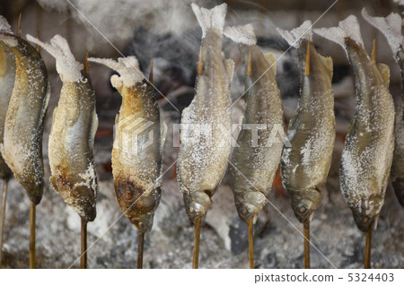 Salt-grilled salmon 5324403